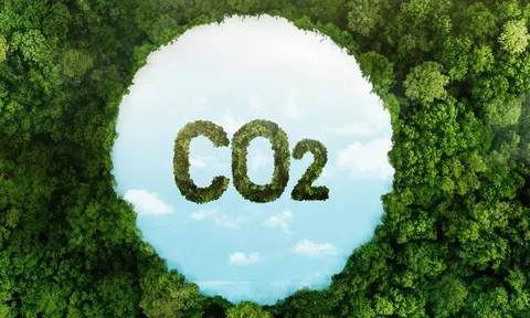 Xây dựng thị trường carbon là “cuộc chơi mới” cho từng doanh nghiệp và cả nền kinh tế