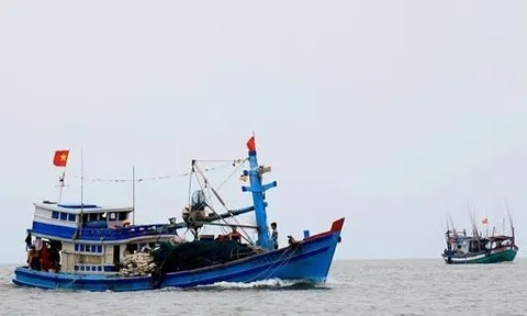 Tạo điều kiện hỗ trợ thủ tục cho hơn 300 tàu cá “3 không” khai thác thủy sản