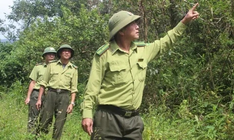 Phối hợp ngăn chặn khai thác vàng trái phép ảnh hưởng đến Khu bảo tồn thiên nhiên Pù Luông