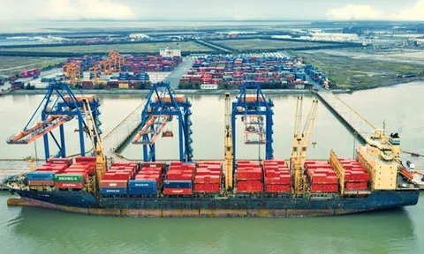 Kiến nghị miễn phí dịch vụ cảng biển cho hàng hóa tại Hải Phòng nhằm gỡ khó cho doanh nghiệp