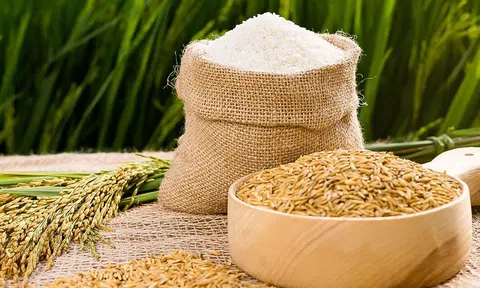 Giá gạo xuất khẩu của Việt Nam giảm xuống mức thấp nhất một năm qua