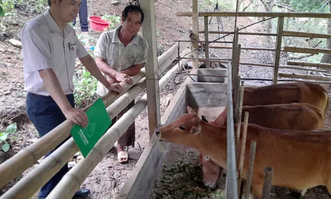 Nguồn lực tín dụng chính sách tạo cơ hội phát triển cho hàng triệu người dân thoát nghèo