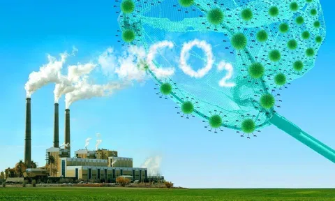 Hỗ trợ doanh nghiệp thúc đẩy việc giảm phát thải khí nhà kính hướng tới tăng trưởng xanh