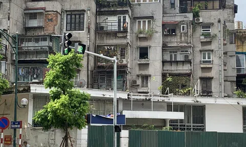 Rà soát, hoàn thiện dự thảo nghị định về kinh doanh bất động sản và cải tạo lại chung cư