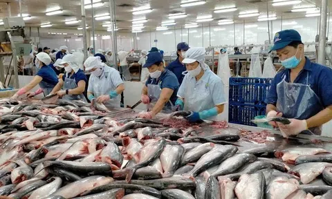 Phó Thủ tướng yêu cầu tháo gỡ vướng mắc, khó khăn cho các doanh nghiệp thủy sản