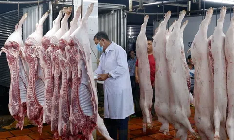 Hợp tác đa ngành mạnh mẽ và hỗ trợ từ phía quốc tế nhằm bảo đảm an toàn thực phẩm