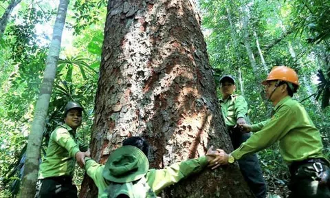 Việt Nam và Campuchia ký kết hợp tác, thúc đẩy đầu tư trong lĩnh vực lâm nghiệp
