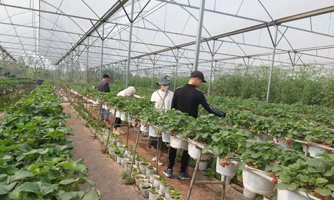 Bộ chỉ tiêu CGI cần đánh giá minh bạch, tạo cơ chế đặc thù cho sự phát triển kinh tế tập thể