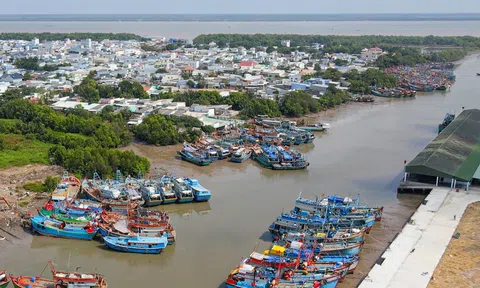 Quy hoạch Quốc gia đến 2030 cả nước sẽ có 173 cảng cá, 160 khu neo đậu trú bão cho khoảng 90.600 tàu cá