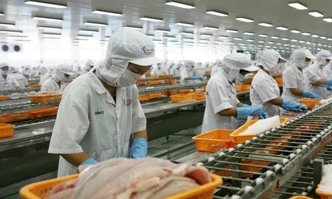 Thủy sản Việt Nam là đối tác lớn thứ 5 của Singapore trong 2 quý liên tiếp