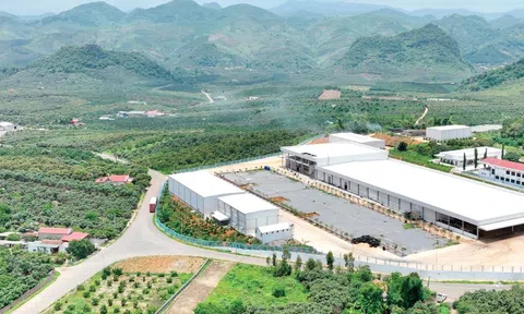 Sơn La đẩy mạnh thu hút đầu tư phấn đấu trở thành trung tâm chế biến nông sản