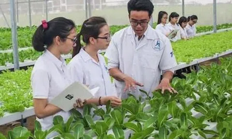 Mỗi năm có khoảng 500.000 lao động rút ra khỏi ngành nông nghiệp