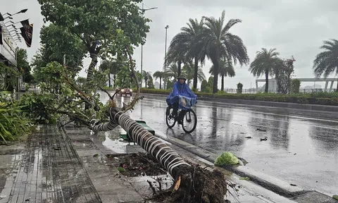 Thanh Hóa ban hành Công điện khẩn tập trung ứng phó bão số 2