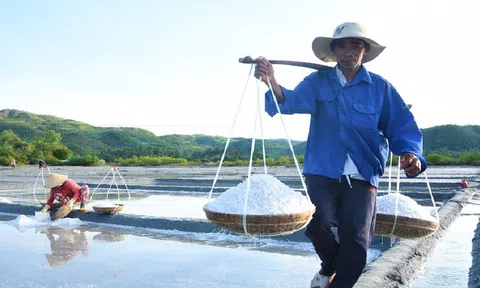 Muối nội tồn kho, trong khi vẫn phải nhập khẩu từ 400.000-600.000 tấn muối mỗi năm, đâu là giải pháp bền vững ngành muối?