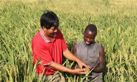 Việt Nam khẳng định vai trò trong chiến lược Hợp tác Nam – Nam bảo đảm an ninh lương thực và phát triển bền vững