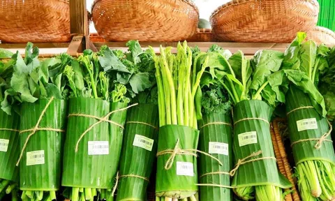 Tiêu dùng bền vững: Cơ hội - Thách thức để doanh nghiệp phát triển