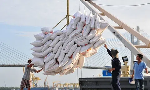 Việt Nam duy trì vị trí số 1 về xuất khẩu gạo vào thị trường Singapore