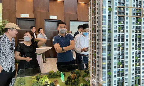 Thực thi các luật mới sẽ sàng lọc thị trường bất động sản, người mua giảm thiểu rủi ro