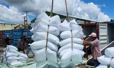 Việt Nam xuất khẩu trên 4,8 triệu tấn gạo, giá gạo xuất khẩu giảm xuống mức thấp nhất trong một năm