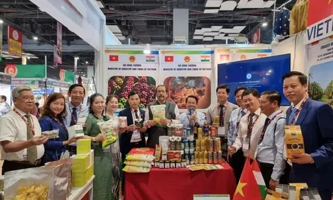 Ấn Độ là cửa ngõ để hàng hóa Việt Nam tiếp cận thị trường Nam Á còn nhiều dư địa để bứt phá