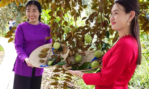 Liên kết nâng cao chất lượng giúp nông sản rộng đường xuất khẩu