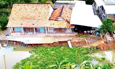 Cần phải tư duy tích hợp trong xây dựng hệ thống thủy lợi Đồng bằng sông Cửu Long