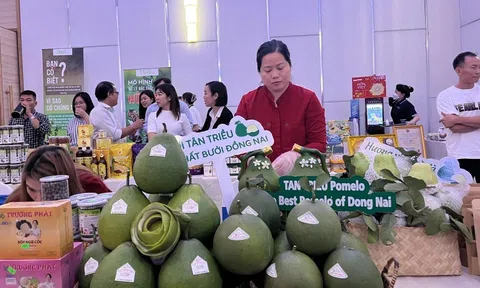 Nông sản vùng Đông Nam bộ sẽ tạo dựng lợi thế xuất khẩu từ những vùng chuyên canh và liên kết xây dựng thương hiệu