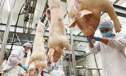 Phấn đấu đến năm 2025 giá trị xuất khẩu sản phẩm chăn nuôi đạt từ 1-1,5 tỷ USD