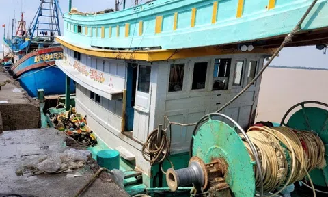 Tỉnh Bến Tre kiên quyết xử lý tàu cá “3 không” thực hiện tốt hơn các quy định về IUU