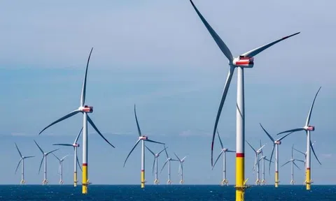 Việt Nam phát triển điện gió ngoài khơi - Hành trình vượt khó 'biến gió thành vàng'