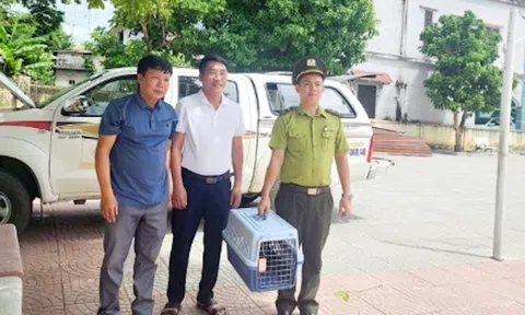 Người dân Quảng Bình tự nguyện giao nộp hàng chục cá thể động vật hoang dã quý hiếm