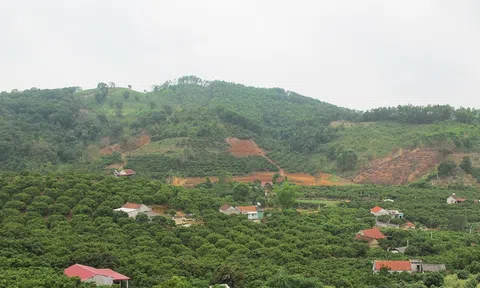 Bắc Giang triển khai dự án điều tra rừng nhằm xác định trữ lượng rừng và trữ lượng các-bon rừng