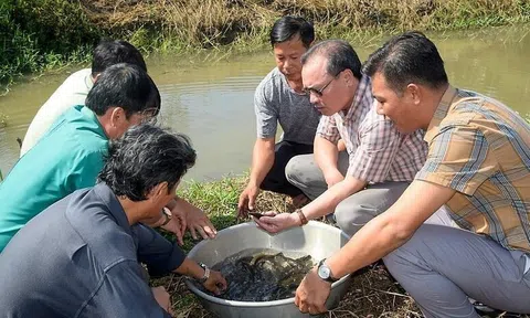 Cà Mau 'ra quân' ngăn chặn đánh bắt cá non để bảo vệ nguồn lợi cá đồng