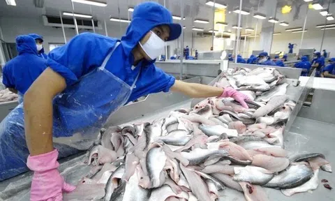 Chuẩn bị tốt kế hoạch làm việc với Đoàn thanh tra EU về kiểm soát dư lượng cho các địa phương và doanh nghiệp