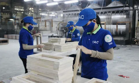 Ngành gỗ Việt Nam nắm bắt cơ hội mở rộng thị trường, vượt khó cán đích 15,2 tỷ USD xuất khẩu năm 2024