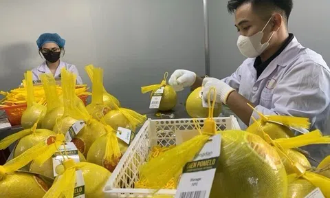 Truy xuất nguồn gốc sản phẩm minh bạch góp phần nâng tầm thương hiệu và thuận lợi cho xuất khẩu