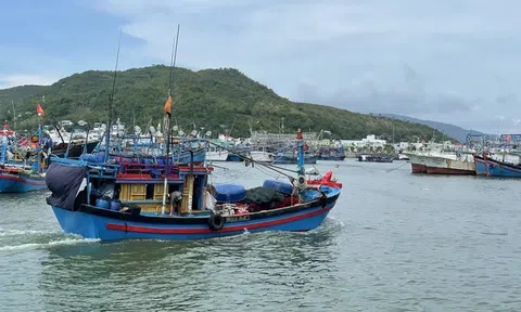 Phó Thủ tướng: Tập trung tối đa hoàn thiện hệ thống VMS nhằm gỡ thẻ vàng IUU