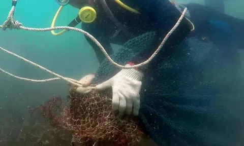 Lặn vớt hàng tấn rác thải đại dương mắc kẹt dưới các rạn san hô ở Côn Đảo