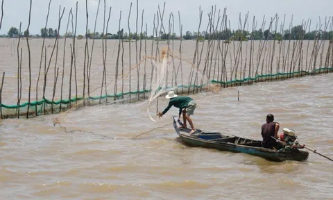 Tổng vốn hơn 17.700 tỷ đồng thực hiện Dự án “Chống chịu khí hậu và chuyển đổi tổng hợp vùng ĐBSCL”