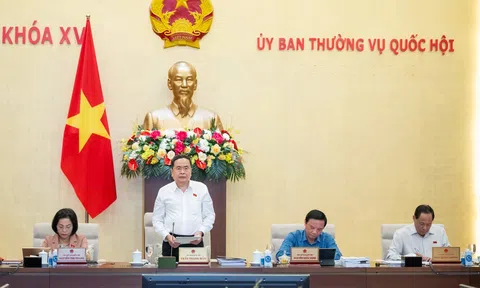 Ủy ban Thường vụ Quốc hội xem xét cho ý kiến về dự thảo Luật Địa chất và khoáng sản