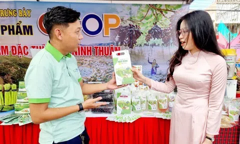 Ninh Thuận đề ra 15 nhóm nhiệm vụ thúc đẩy phát triển sản phẩm OCOP