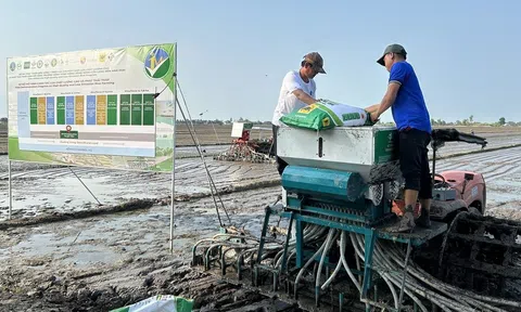 Phải tạo khác biệt mang tính đột phá cho vùng đất trồng lúa có năng suất, chất lượng cao