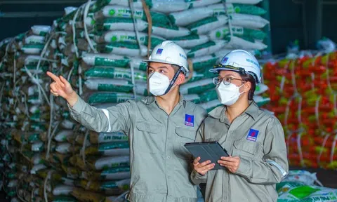 Áp thuế VAT với phân bón, doanh nghiệp tăng cạnh tranh nhưng lo nông dân chịu thiệt