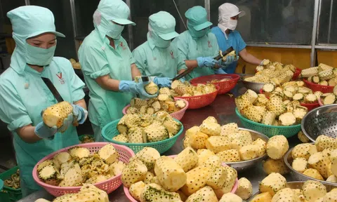 Doanh nghiệp thích ứng các tiêu chuẩn Xanh để xuất khẩu thành công vào EU