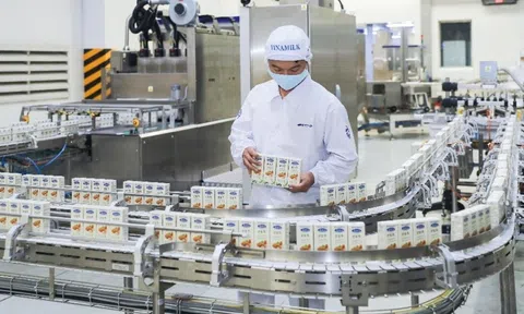 Thương hiệu quốc gia góp phần thúc đẩy phát triển ngoại thương và nâng cao năng lực cạnh tranh quốc gia