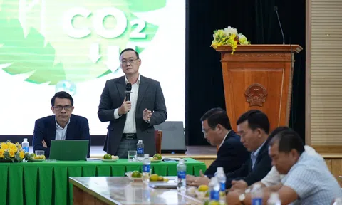 Những vấn đề cấp bách trong đào tạo nhân lực phát triển thị trường tín chỉ carbon tại Việt Nam