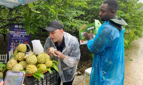 Đổi mới hoạt động xúc tiến thương mại trên nền tảng số để nâng tầm giá trị hàng hóa Việt Nam