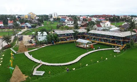 Quảng Nam: Lần đầu tiên có 25 doanh nghiệp được chứng nhận du lịch xanh