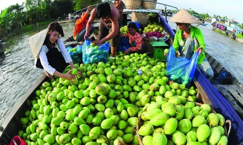 Nông sản vùng ĐBSCL chưa tạo được lợi thế cạnh tranh xuất khẩu do đối mặt với nhiều trở ngại