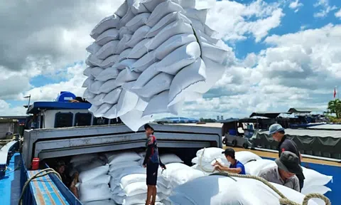 Cơ hội để xuất khẩu gạo của Việt Nam lập kỷ lục mới khi vượt kim ngạch 5 tỷ USD